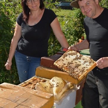 Imkerei in Stadt und Land – Bauern und ihre Bienenzucht