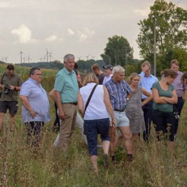 Feldtag zur Biodiversität auf Bördeäckern