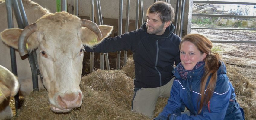 Julia Anthe und Marten Hoppe bei ihrer Lieblingskuh Caline